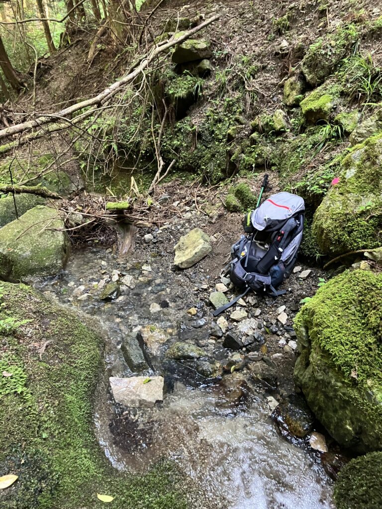 山の中にある沢の様子