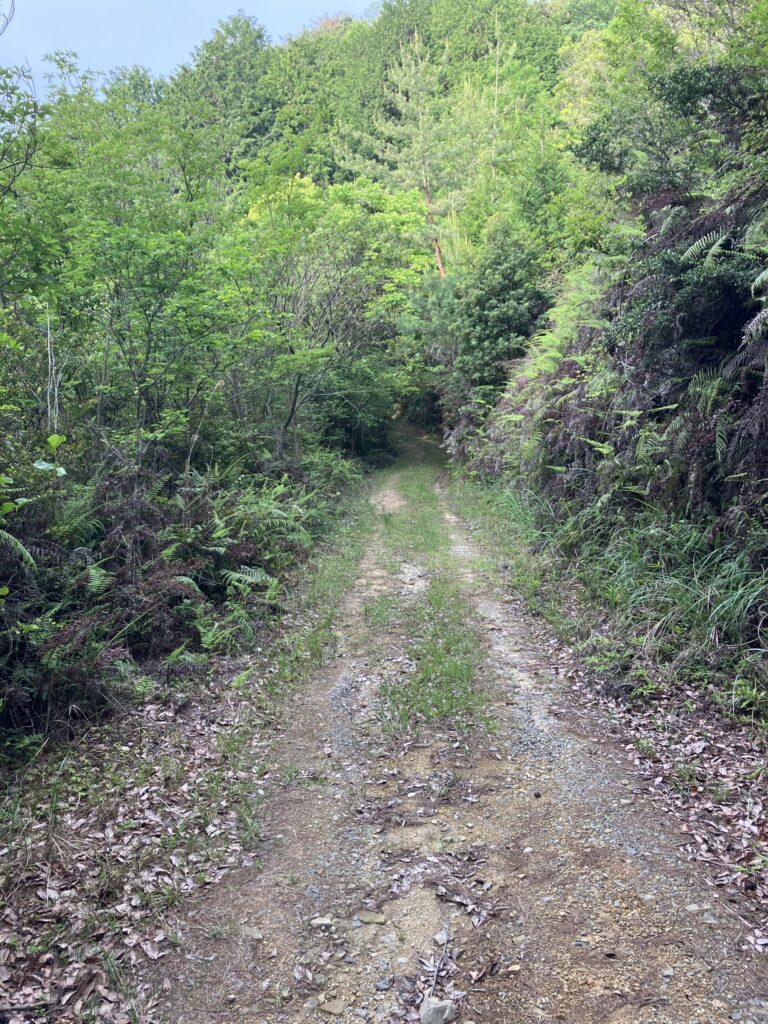 山の中にある林道。