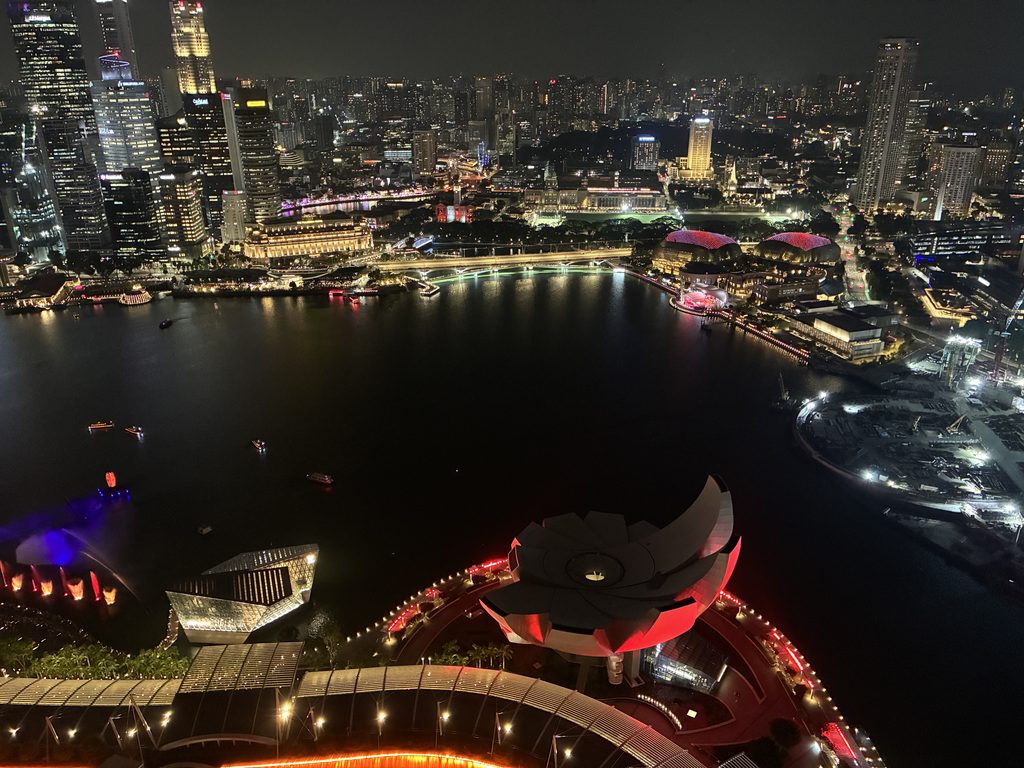 マリーナベイ・サンズ屋上から見た、シンガポールの夜景